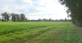 Ackerland - ca. 3,6 ha - in Bad Zwischenahn-Querenstede
