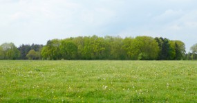 ca. 5,8 ha Wald in Ohrwege