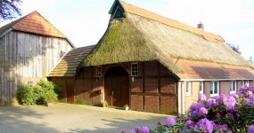 Historische Resthofstelle mit Original-Reetdach-Bauernhaus in Portsloge