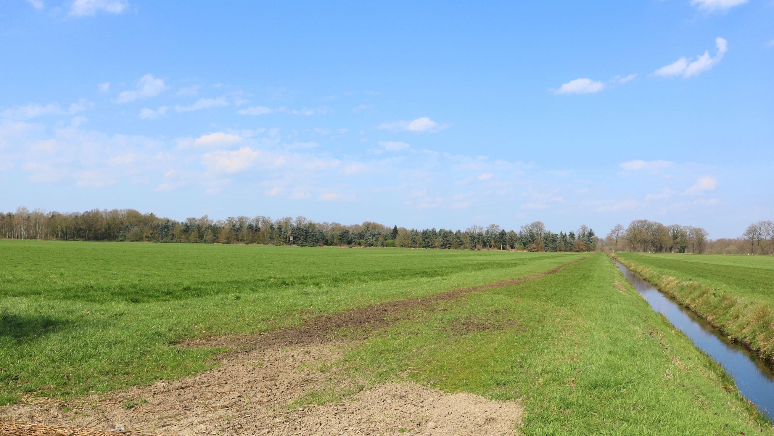 ca. 10,6 ha arrondiertes Grünland 