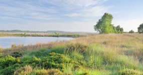 ca. 51 ha Moorflächen in Bösel-Overlahe, Naturschutzgebiet Vehnemoor