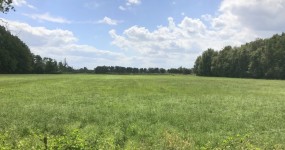 2,1 ha Grünlandfläche in Bad Zwischenahn-Fintlandsmoor