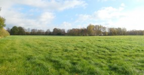 Ca. 2,5 ha Grünlandfläche in Edewecht-Fintlandsmoor