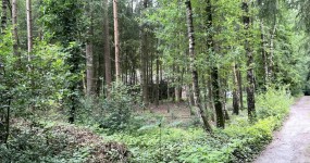 Grundstück zur Bebauung mit einem Wochenendhaus in Sandhatten