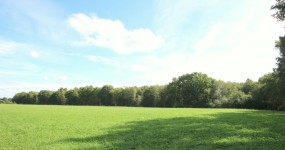 Waldfläche (ca. 1,8 ha) in Edewecht, "Fintlands Moor"
