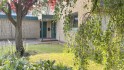 Einblicke in den Garten