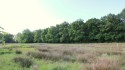 Ausblick vom Gartengrundstück in die unverbaute Natur