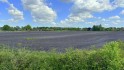 Blick auf die Ackerfläche in nord-östliche Richtung