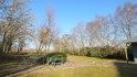 gemeinschaftlicher Gartenbereich mit gepflasterter Terrasse