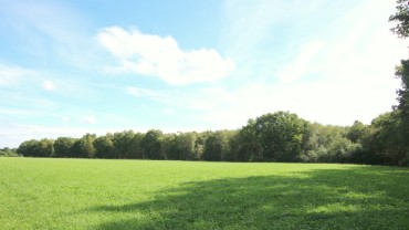 objektbild