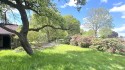 Garten 2