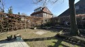 Einblicke in den Gartenbereich 