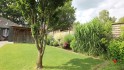 Blick auf den Gartenbereich